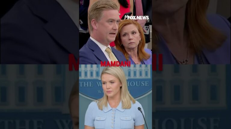 Leavitt sets record straight on deporting Mamdani #shorts #foxnews #us #usnews #news #nyc #mamdani