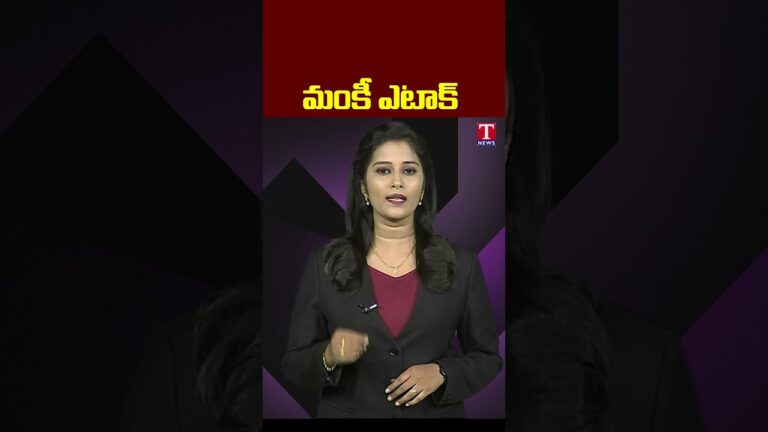 మంకీ ఎటాక్..  Monkey Attack On Man #shorts #monckey #tnews