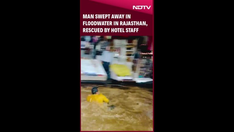 Rajasthan News: Man Swept Away In Floodwater In Rajasthan, Rescued By Hotel Staff