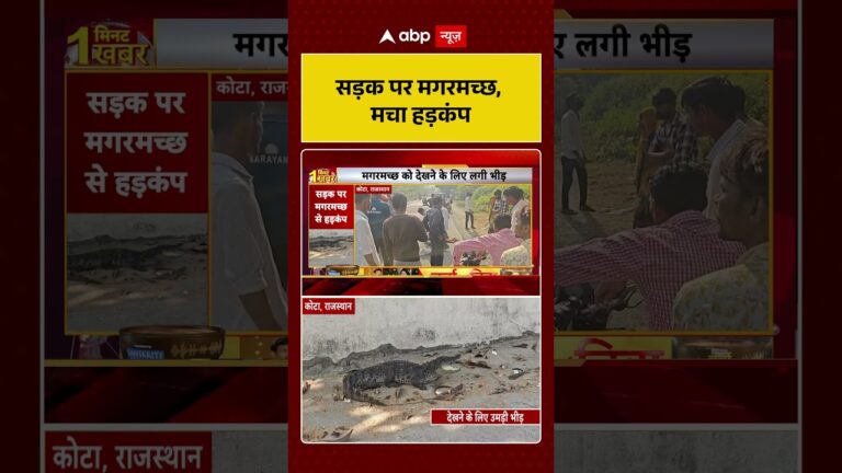 Viral Video: सड़क पर मगरमच्छ, मचा हड़कंप | ABP NEWS SHORTS