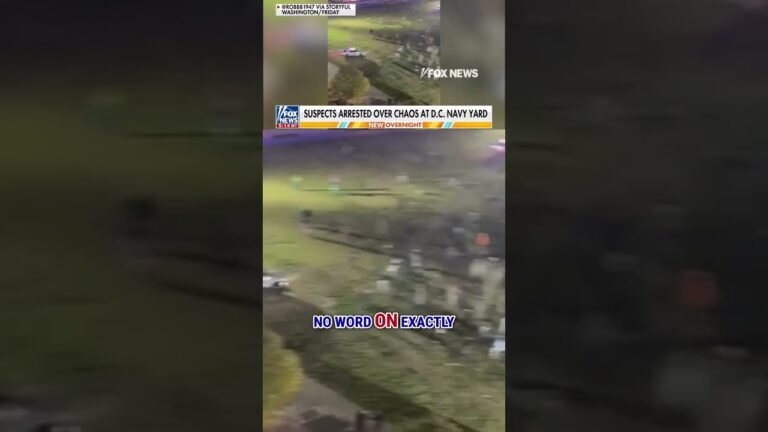 ‘CHAOS IN DC’: Police arrest multiple suspects in Navy Yard neighborhood #shorts