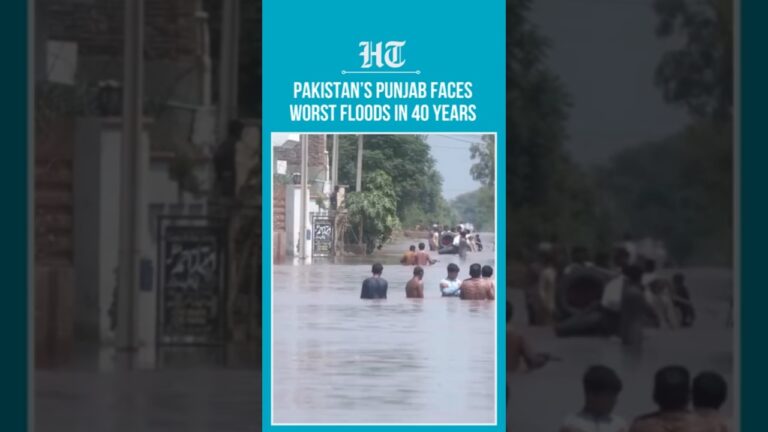 Pakistan Punjab Floods: 1,600 Villages Submerged, Over 1 Million Affected | #shorts