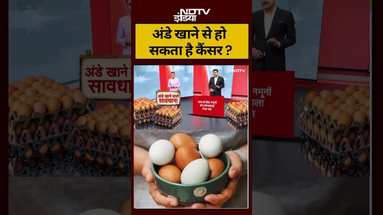 Latest News Updates: अंडे खाने से हो सकता है कैंसर ? | #breakingnews #shorts #ndtvindia